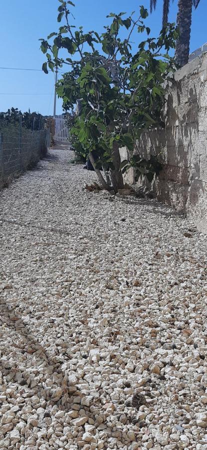 A 3 Passi Della - Cala Madona - Portu Antoni - Cala Croce Holiday home Lampedusa